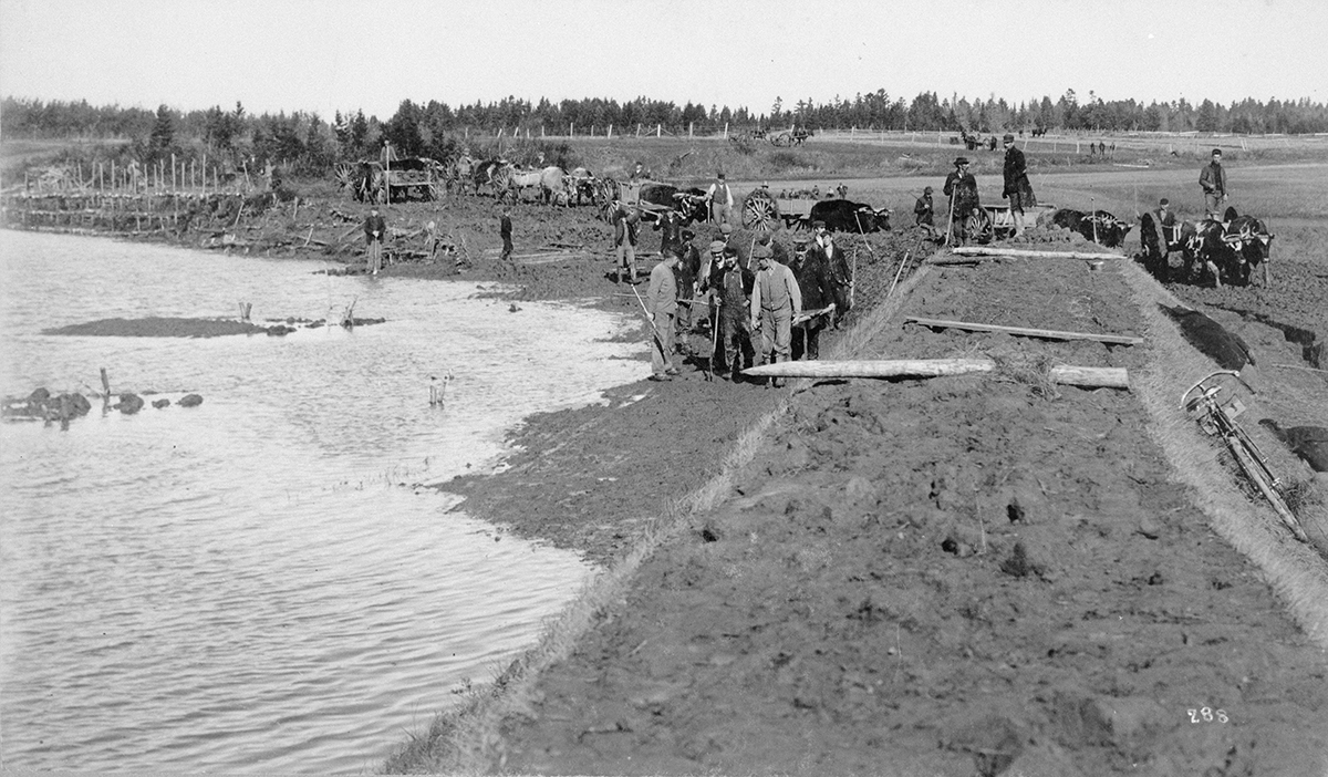 Construction d'une digue